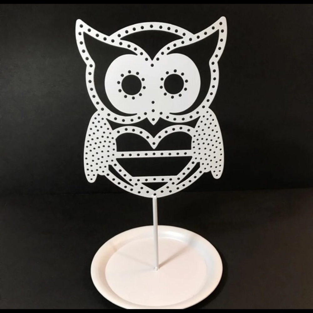 Earring/jewelry organizer